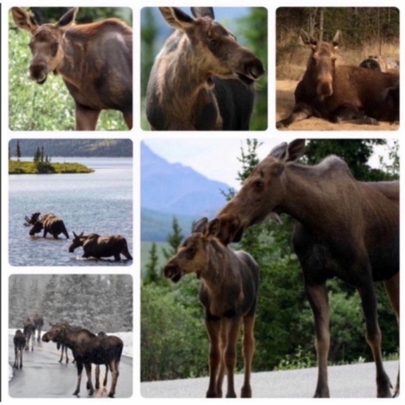 MEET THE POSHERS - Picture 13 of 16